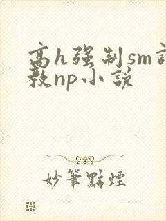 高h强制sm调教np小说