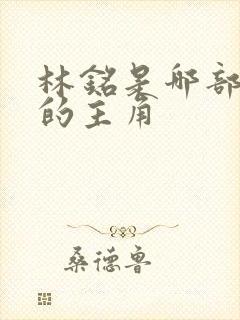 林铭是哪部小说的主角