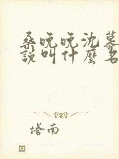 桑晚晚沈慕声小说叫什么名字