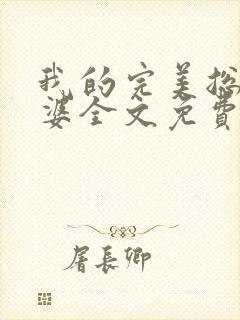 我的完美总裁老婆全文免费阅读