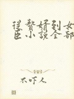 从赘婿到女帝宠臣小说全部章节