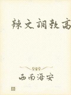 辣文调教高h