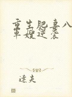 重生肥妻八零胖军嫂逆袭