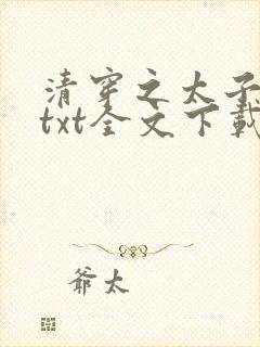 清穿之太子娇妃txt全文下载封面