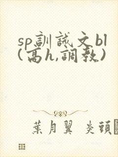 sp训诫文bl(高h,调教)