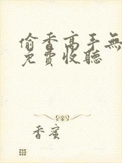 偷香高手无删减免费收听封面