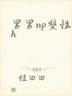 男男np双性高h