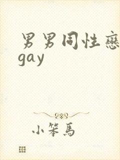 男男同性恋视频gay