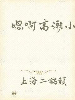 嗯啊高潮小说封面