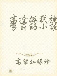 高冷总裁被下属惩罚的小说双男