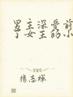 男主深爱前任娶了女主的小说封面