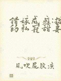 错嫁成瘾:总裁的私宠甜妻