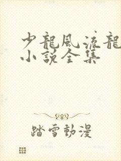 少龙风流龙剑飞小说全集