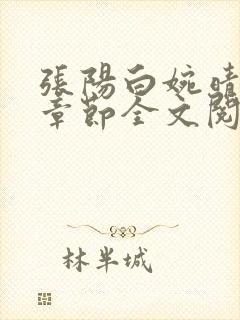 张阳白婉晴小说章节全文阅读