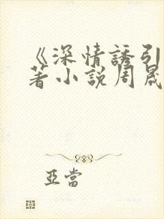 《深情诱引》原著小说周晟安结局是