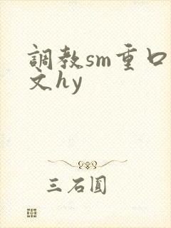 调教sm重口h文hy