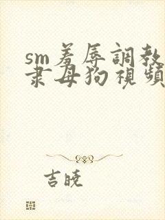 sm羞辱调教奴隶母狗视频