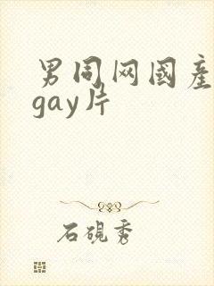 男同网国产原创gay片