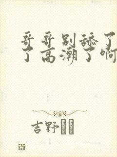 哥哥别舔了受不了高潮了啊啊封面