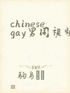 chinesegay男同视频网站
