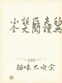 小说匹夫的逆袭全文阅读无弹窗封面