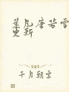 叶凡唐若雪王婿更新封面