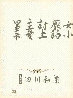 男主讨厌女主后来爱上的小说