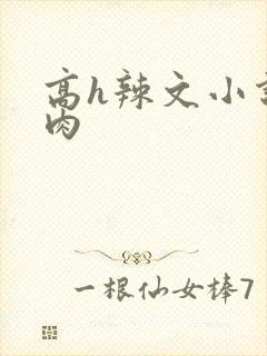 高h辣文小说纯肉