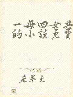 一母四女共一婿的小说免费阅读小冉