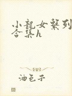 小龙女系列辣文合集h