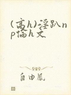 (高h)淫趴np伦h文
