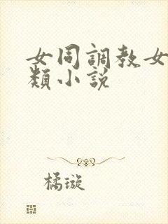 女同调教女总裁类小说封面