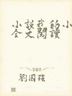 小说我的小后妈全文阅读