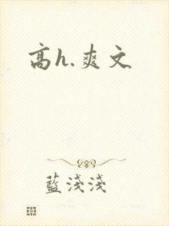 高h.爽文