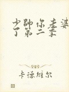 少帅你老婆又跑了第二季