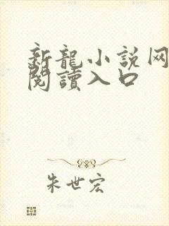 新龙小说网免费阅读入口封面