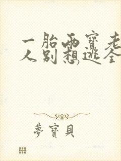 一胎两宝老婆大人别想逃全文免费阅读封面