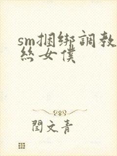 sm捆绑调教白丝女仆封面