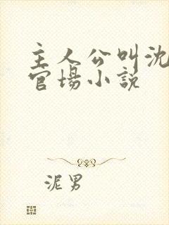 主人公叫沈荡的官场小说