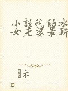 小说我的冰山美女老婆最新章节