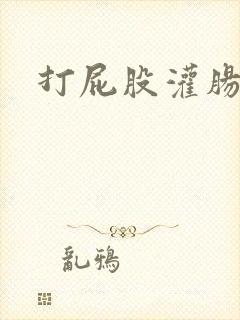 打屁股灌肠调教封面