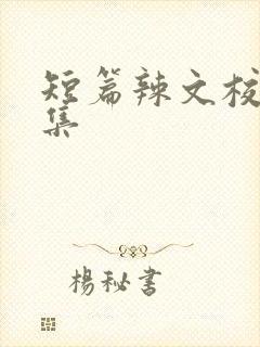 短篇辣文校园合集