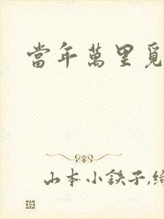 当年万里觅封侯