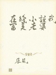 在线小说我的白富美老婆