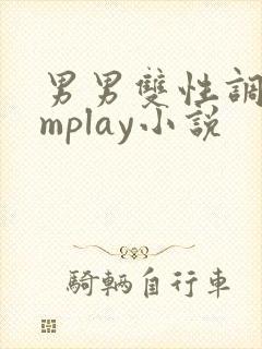 男男双性调教smplay小说