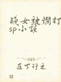 贱女被烂打屁股sp小说