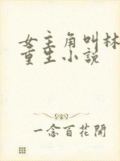 女主角叫林月的重生小说