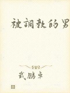 被调教的男人封面