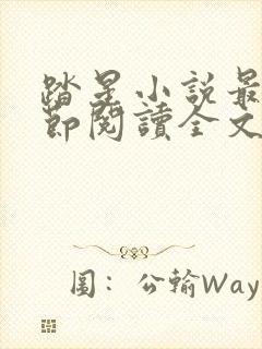 踏星小说最新章节阅读全文