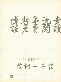 傅斯年沈棠音小说免费阅读最新章节封面